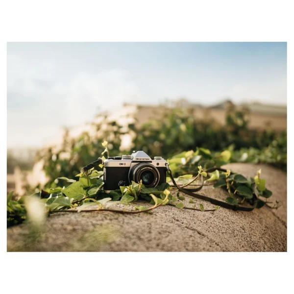 OM SYSTEM OM-3 Body Silver