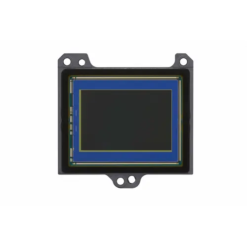 Canon EOS R6 Mark III body