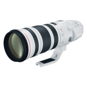 Canon EF 200-400mm f/4.0 L IS USM Ext 1.4X
