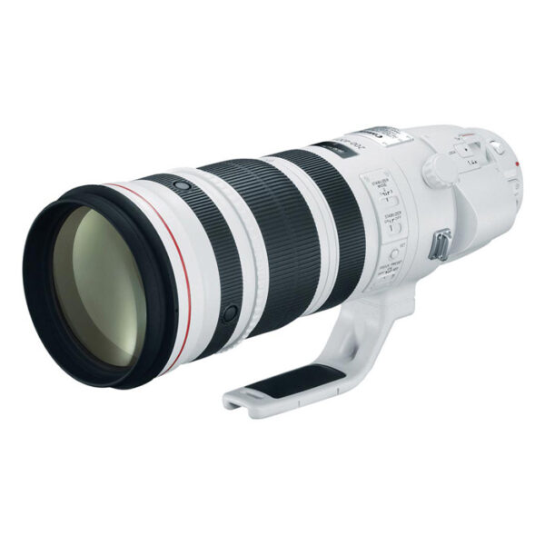 Canon EF 200-400mm f/4.0 L IS USM Ext 1.4X