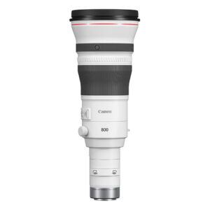 Canon RF 800mm F/5.6 L IS USM
