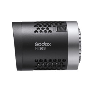 Godox ML30BI Duo LED Light Kit