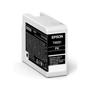Epson Singlepack Photo Black T46S1