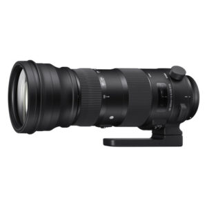 Sigma 150-600mm F5-6.3 DG DN OS (S) L-mount
