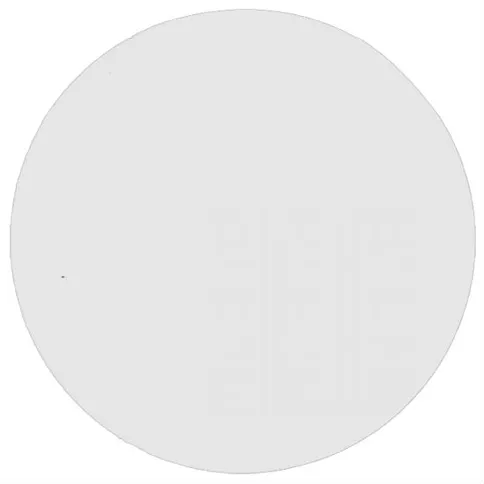 Profoto Glass for Softlight Reflector