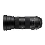 Sigma 150-600mm f5.0-6.3 DG OS HSM I Sports Nikon