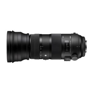 Sigma 150-600mm f5.0-6.3 DG OS HSM I Sports Nikon