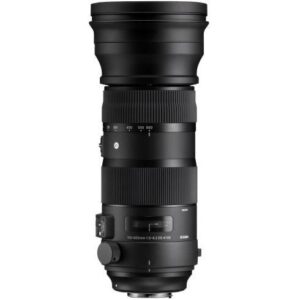 Sigma 150-600mm f5.0-6.3 DG OS HSM I Sports Canon