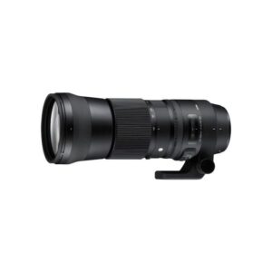 Sigma 150-600mm f5-6.3 DG OS HSM | Contemporary Nikon