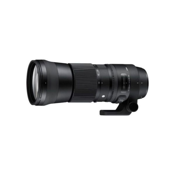 Sigma 150-600mm f5-6.3 DG OS HSM | Contemporary Nikon