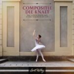 Van Duuren Compositie die knalt - Scott Kelby boek