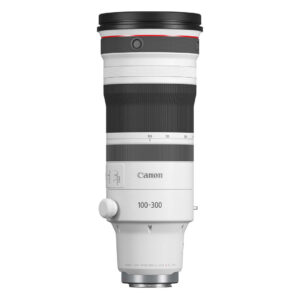 Canon RF 100-300mm F/2.8 L IS USM