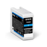 Epson Ink Cartridges Singlepack Cyan T46S2