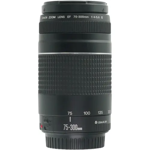 Canon 75-300mm f4.0-5.6 EF III