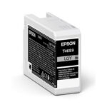 Epson Singlepack Light Grey T46S9