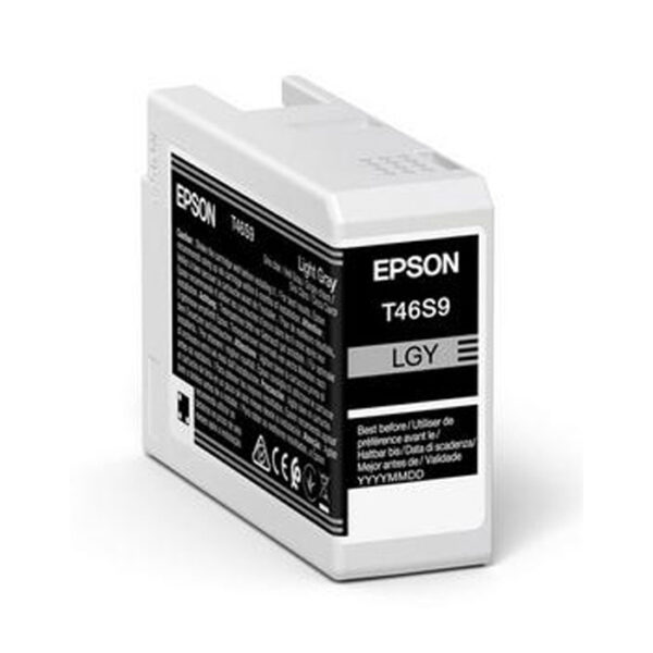 Epson Singlepack Light Grey T46S9