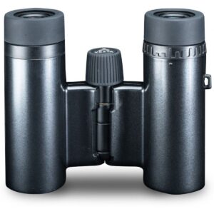 Vanguard Vesta 8x21 8210 BP