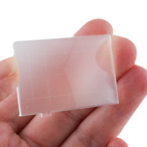 Nikon E Screen for F6