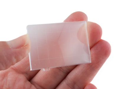 Nikon E Screen for F6