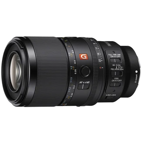 Sony SEL FE 100mm F2.8 Macro GM OSS Lens