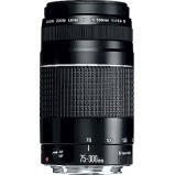 Canon EF 75-300/4.0-5.6 III