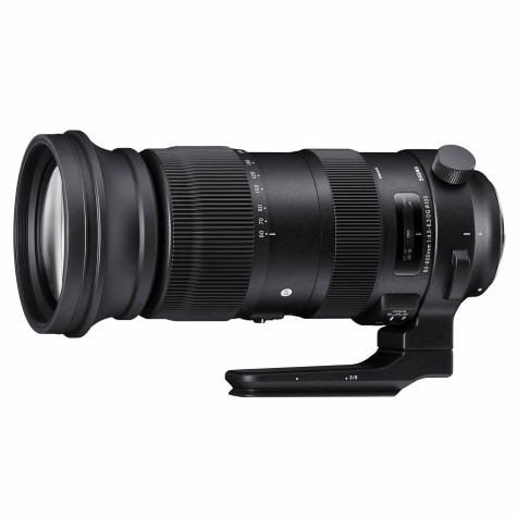 Sigma 60-600mm f4.5-6.3 DG OS HSM Sports Nikon