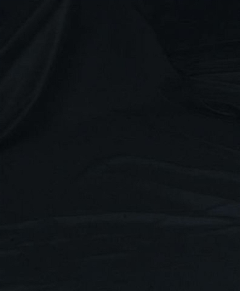 FE Achtergronddoek BCP-02 2x3 m Zwart