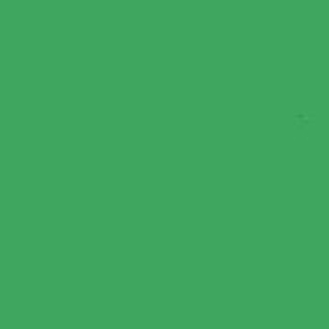 FE Achtergrondpapier 46 138cm X 11Mtr Chroma green