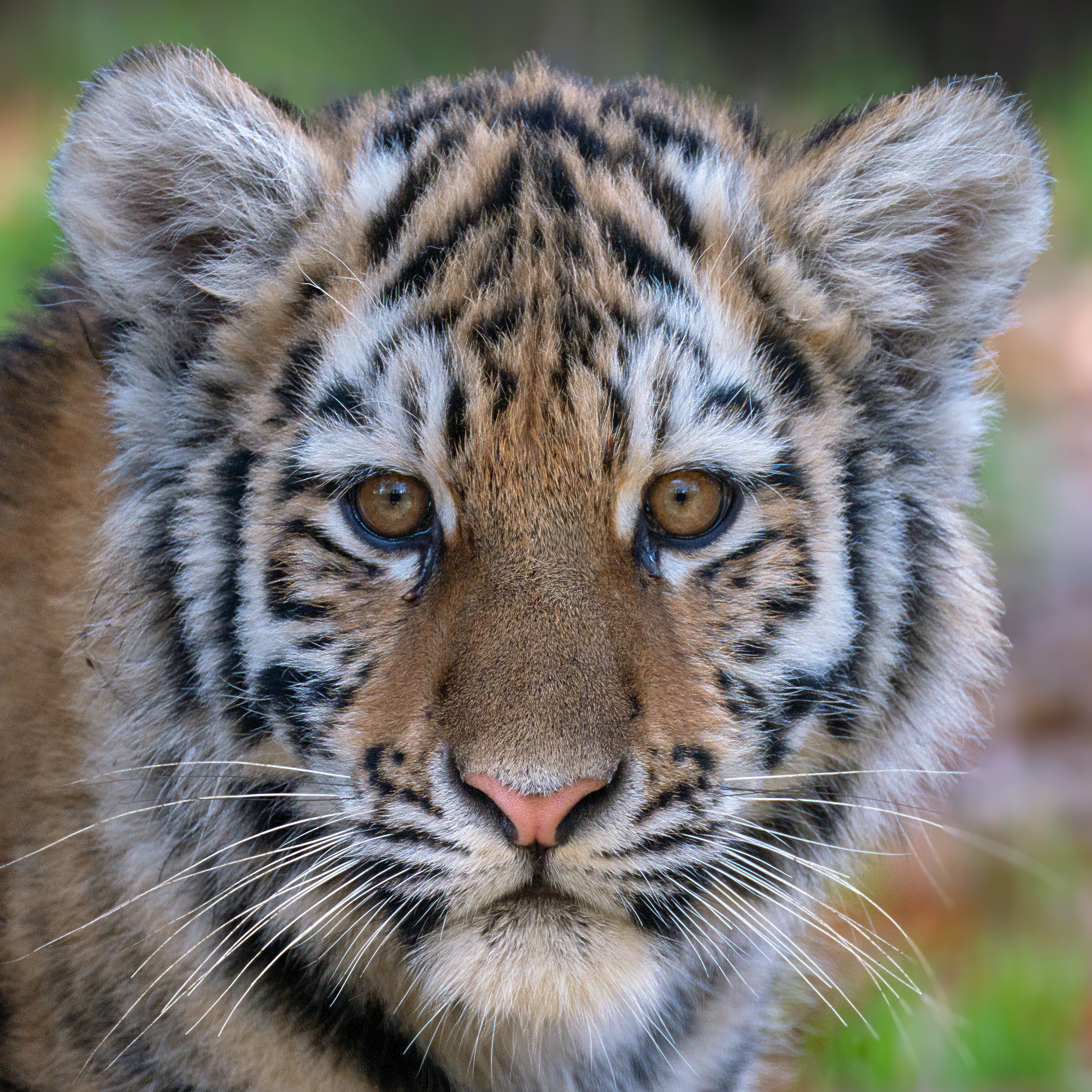 HAFO  Cursus Basis Fotografie