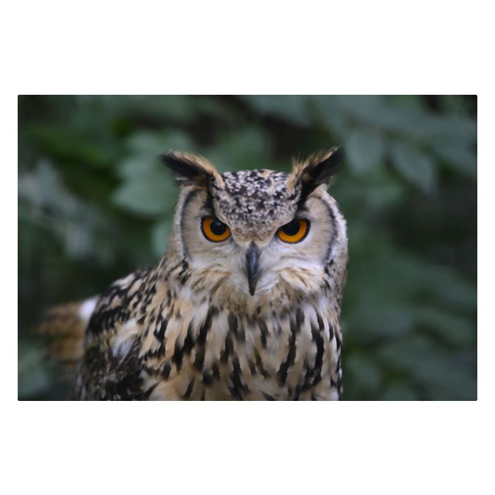 HAFO  Cursus Basis Fotografie