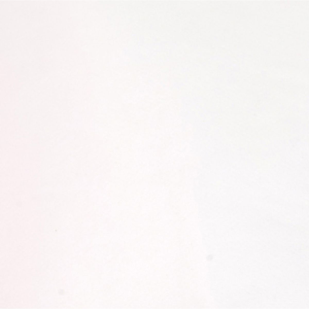 Falcon Eyes Background Cloth BCP-101 2.7x7 M White