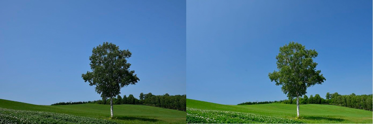 Hoya HO-CPLS43 43mm, Pola circulair slim (PHL)