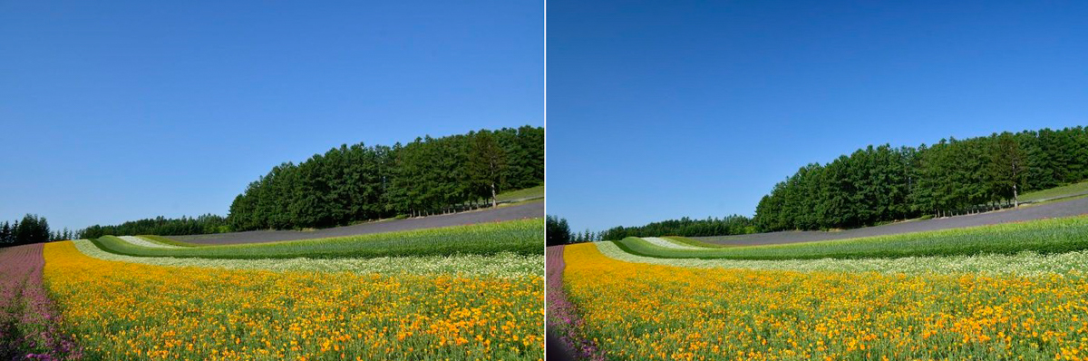 Hoya HO-CPLS43 43mm, Pola circulair slim (PHL)