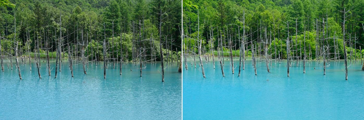 Hoya HO-CPLS43 43mm, Pola circulair slim (PHL)