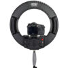 Ledgo R320C Ring Light w/ Adapter (including bag)
