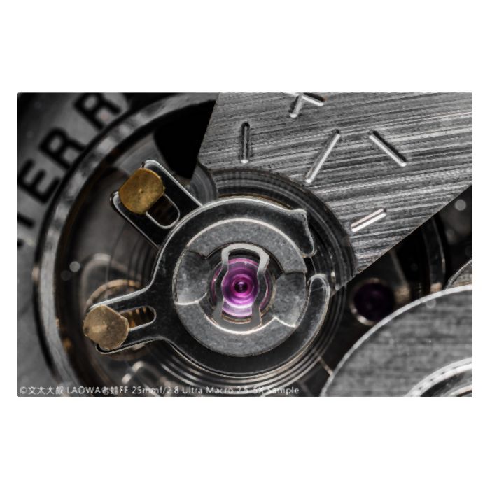 Laowa Venus 25mm f/2.8 2.5-5X Ultra-Macro Lens - Canon EF