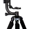 Sirui Gimbal Head PH-20
