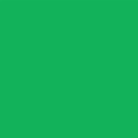 FE Achtergrondpapier 46 138cm X 11Mtr Chroma green