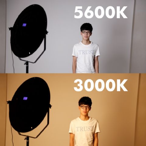 FE Bi-Color LED Lamp Sophiez SO-28TD op 230V