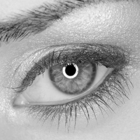 FE DVR-300DVC LED Ring Lamp Dimbaar op 230V