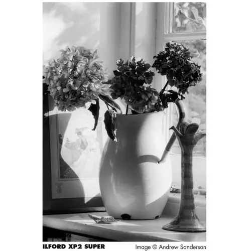 Ilford XP2 Super 135 / 24 1 cassette