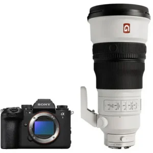 Sony A1 II +  FE 300mm f/2.8 GM